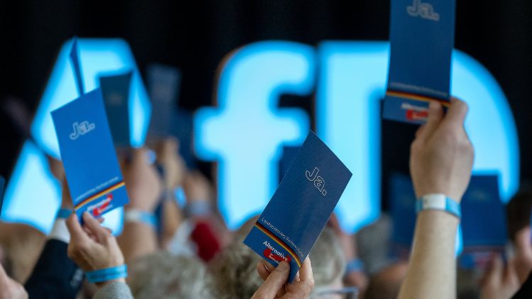 Pour les responsables politiques du parti politique de l'AfD, un groupe d’extrême droite, l’UE doit mourir et l’action de l’Otan, corrigée.