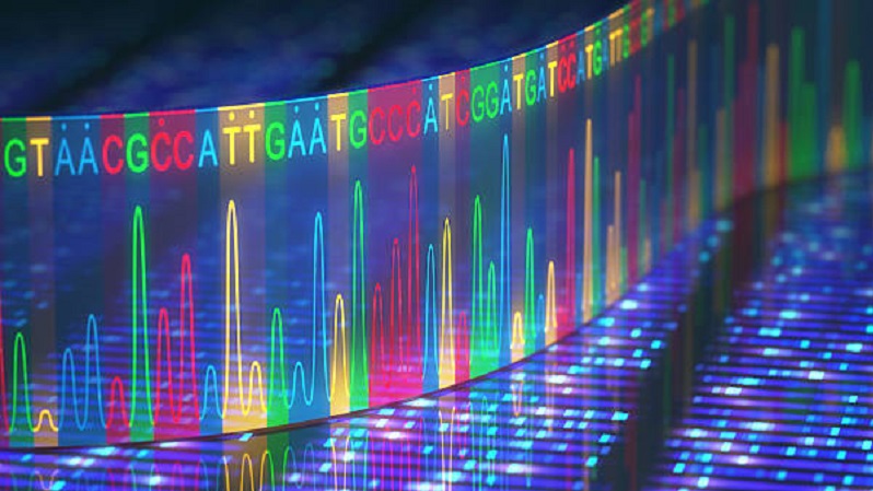 biologie-synthetique-synthetic-biology-biosyn