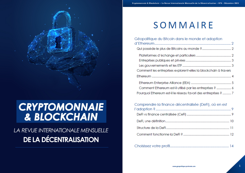 Revue Cryptomonnaie & Blockchain début 2022