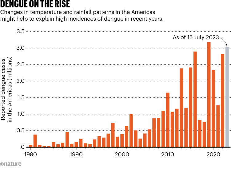 La dengue bat des records en amérique