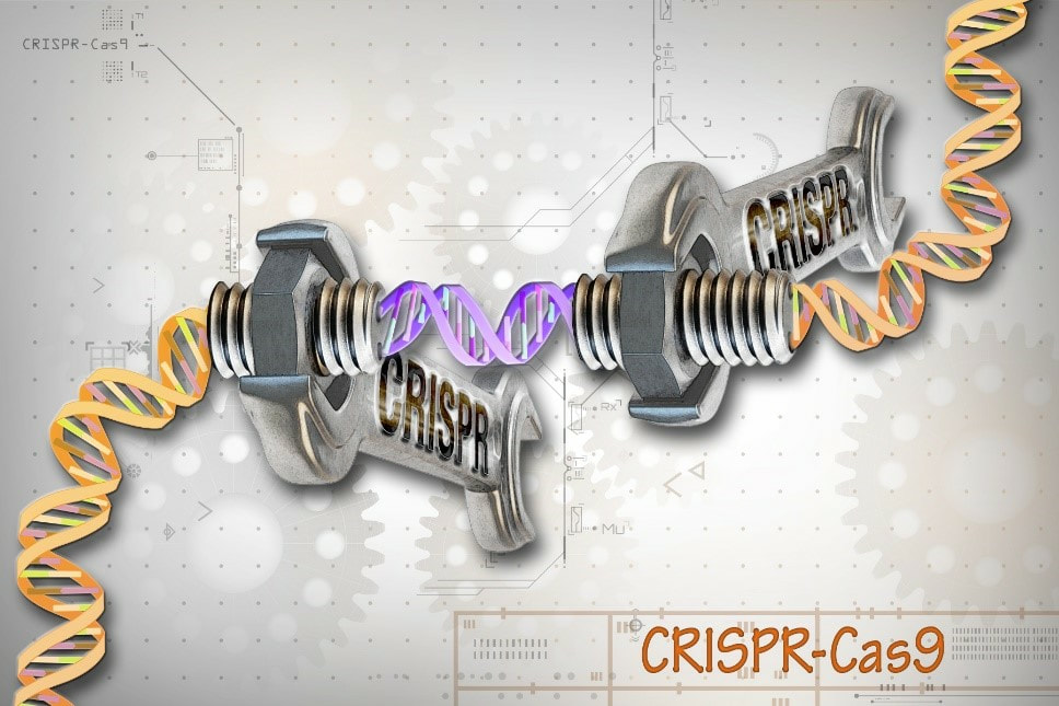 Crispr Cas-9