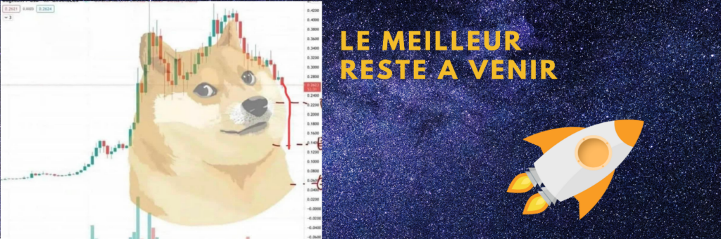 Dogecoin avis sur la crypto promue par Elon Musk