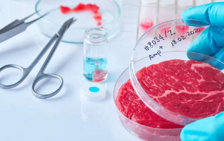 science-derrière-viande-cultivée-laboratoire