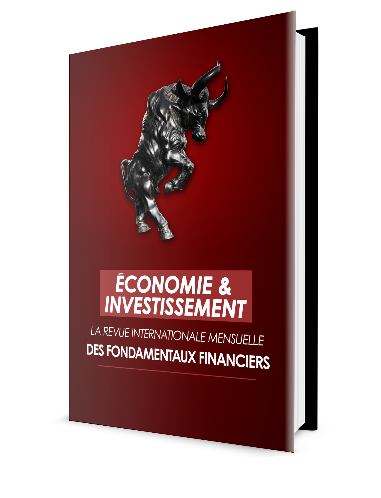 La revue mensuelle Économie & Investissement