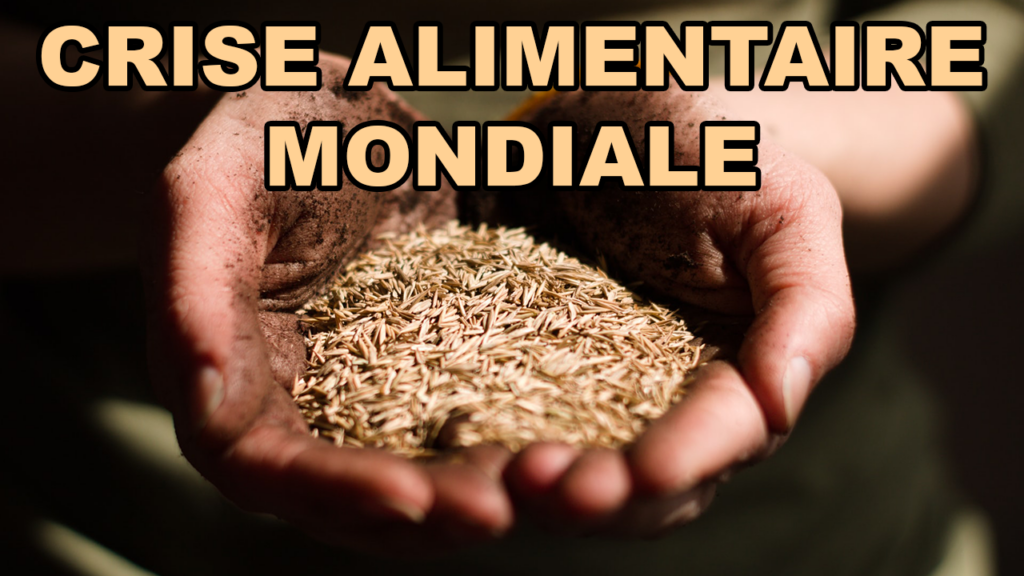 Survivre à la crise alimentaire mondiale